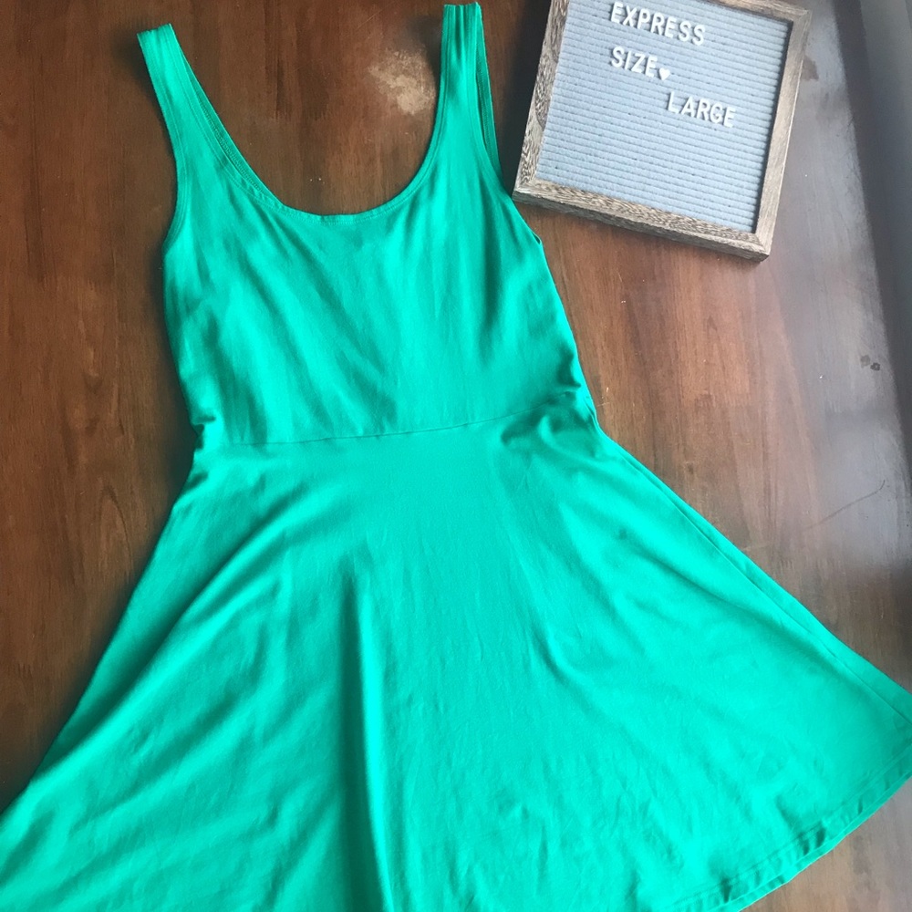 Express Green Skater Dress - Large